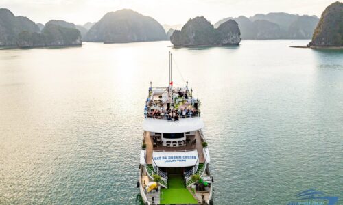 Cruises